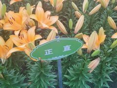 -长春公园(普阳街道)