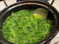 纯水浸时蔬-荟廷·晶萃(陆家嘴尚悦湾店)