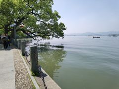 -湖畔居茶楼(湖滨店)