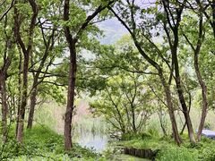 -西湖风景区-江洋畈生态公园