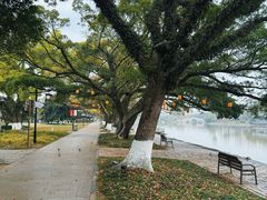 -江心屿景区