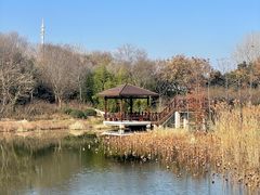 -同里国家湿地公园