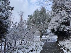 -鼓岭旅游度假区
