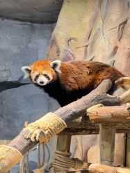 -Zoolung Zoolung动物主题公园(海信广场店)