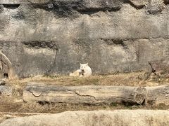 -杭州野生动物世界