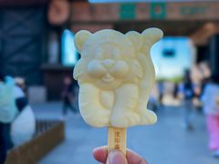 -沈阳森林动物园