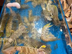 -吴记富苑(朝阳店)