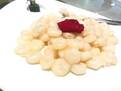 -天福苑(崇宁路店)