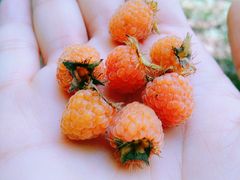 -重庆雨台山风景区