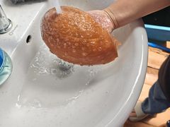 -蓝湾碧波·老字号·疍家非遗海上餐厅
