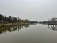 -江苏三台山国家森林公园