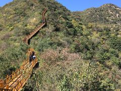 -大岭沟猕猴桃谷风景区