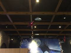 -MS实景娱乐密室逃脱(川大店)