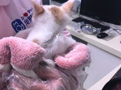 -宠颐生中康贝怡动物医院