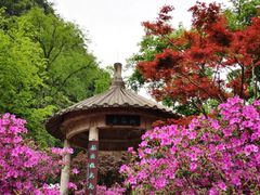 -桂林七星景区
