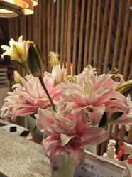 -花隐瑜伽·普拉提·红绳