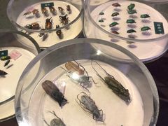 -陕西自然博物馆