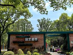 -新江湾城公园