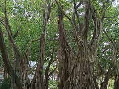 -北海市海滨公园