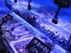 -渔民船说·北塘海鲜·天津菜·海肠捞饭(北塘古镇店)