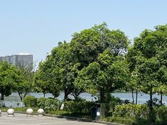 -成都南湖公园