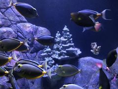 -成都浩海立方海洋公园