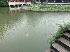 -龙潭水乡
