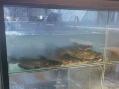 -鱼酷活鱼烤鱼(南京水游城店)