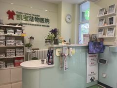 -悦宠凯宝动物医院·牙科·皮肤科(朝阳北路店)