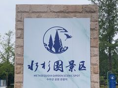 -水杉园