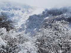 -神农架景区