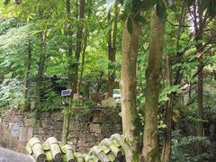 -凤栖山