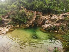 -南海湾森林生态园