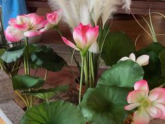 -荷塘秋月·本帮江浙菜(国权路店)