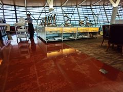 -浦东机场国航头等贵宾室