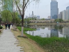 -西北湖绿化广场