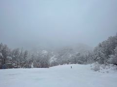 -密苑云顶乐园(云顶滑雪场)