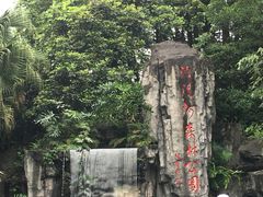 -广州市流溪河国家森林公园