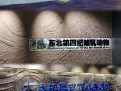 -大庆市博物馆