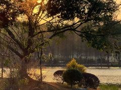 -东莞植物园