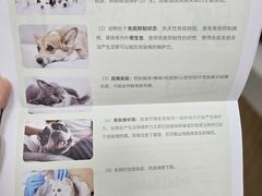 -美联众合爱康动物医院•复杂内科•肿瘤科•牙科•腔镜诊疗中心