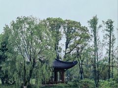 -江心屿景区