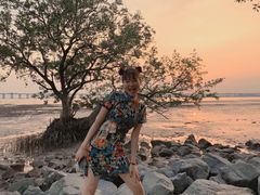 -宝安西湾红树林湿地公园