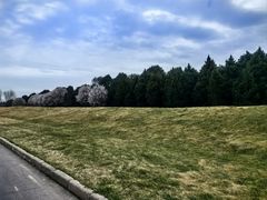 -秦始皇帝陵博物院-丽山园