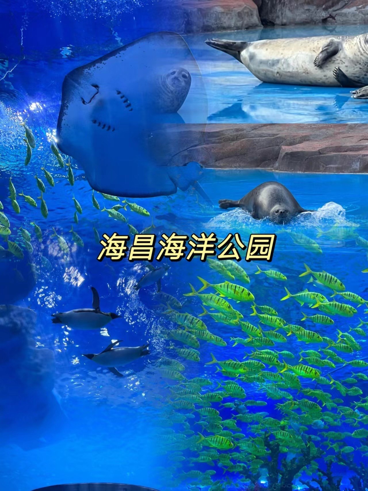 https://qcloud.dpfile.com/pc/awCvm9DIj0xJuJdhbdMSAGlLpFvxNzjAWYGR_zC2SjAJkK5Z88Mszd79ey8Z1GJvY0q73sB2DyQcgmKUxZFQtw.jpg