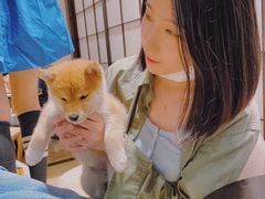 -逗柴咖啡屋·狗咖猫咖宠物桌游
