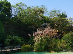 -吴淞炮台湾湿地森林公园烧烤区