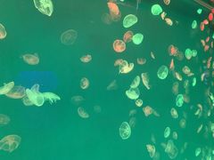 -多彩贵州城极地海洋世界