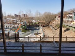 -北京鹿世界主题园