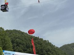 -栾川竹海野生动物园